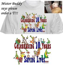 Ferrets T
