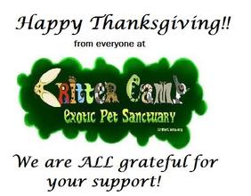 Happy Thanksgiving!