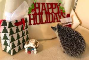 Quilliam Shatner says Happy Holidays!