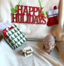 Bean says Happy Holidays