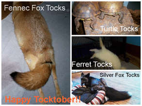 Happy Tocktober