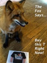 Mystery Solved!