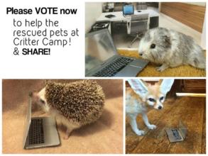 Please VOTE!