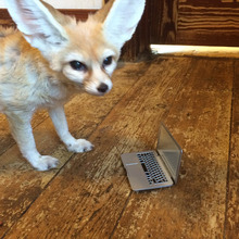 Wiley asks you to vote too
