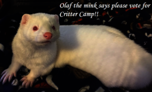 Olaf
