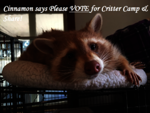 Cinnamon