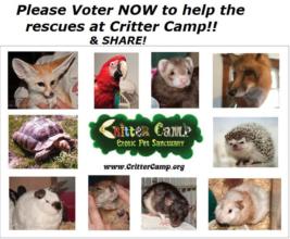 Voting time!