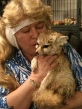 Critter Camp Mom happy to be home, Wiley is too!