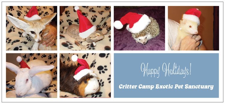 Happy Holidays!