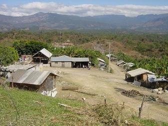 Help Mexican Farmers Raise Sheep and Incomes
