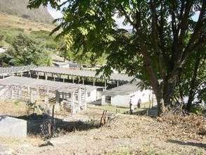 Animal Husbandry
