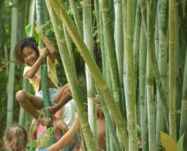 playing in the bamboo forest