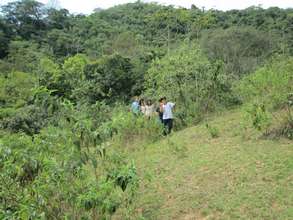 Planting Trees