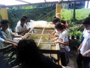 The students planting seeds