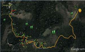 Map of endangered trees on our reforestation trail