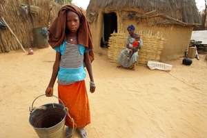 Lauretta collecting firewood