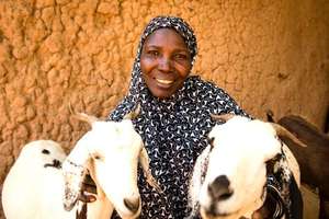 Santou with her goats