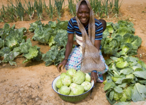Fresh produce from the village vegetable plots