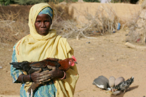 Igue Moussa with one of her new chickens