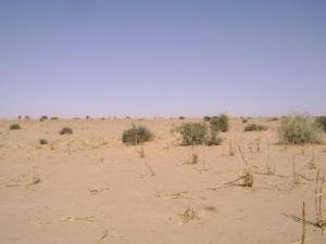 Saving Lives in Niger, Mali & Sahel Region