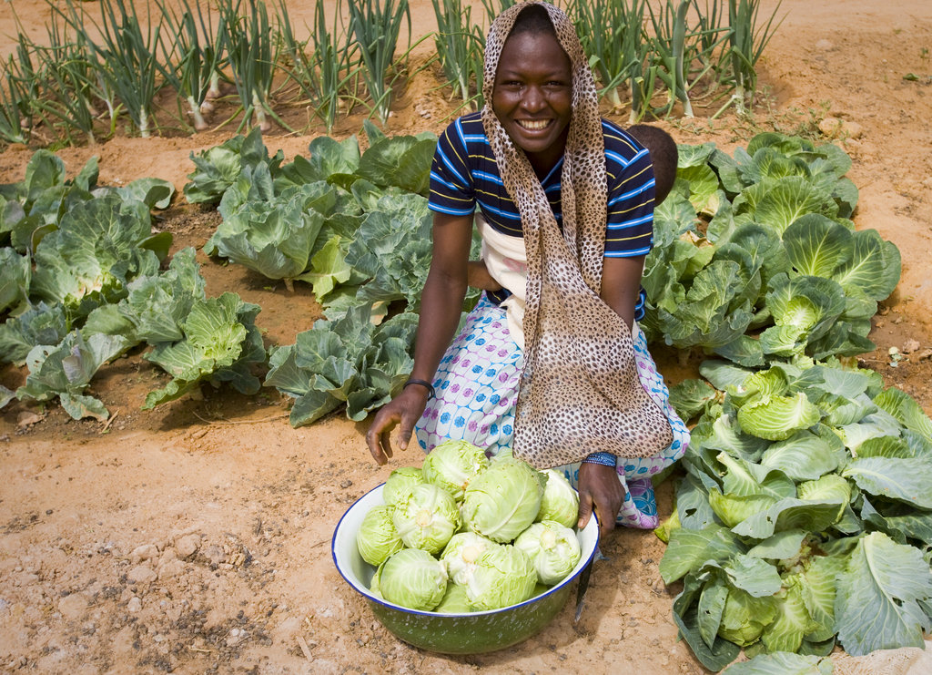 Saving Lives in Niger, Mali & Sahel Region