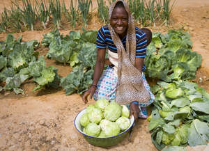Growing community gardens