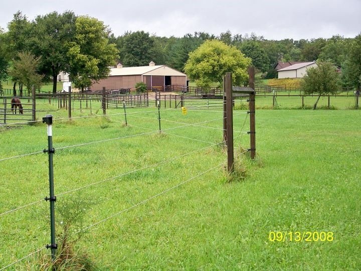 Rejuvenate Pastures for Rescue Horses to Graze