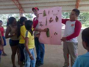 A Team sharing their discoveries