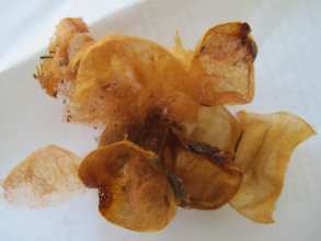 Separated Four-Layer Cocoon