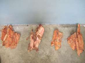 Red Bark from the Nato tree