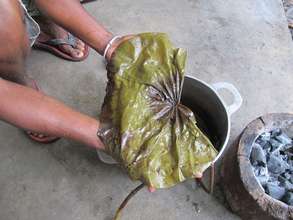 Water Lillie for making dyes