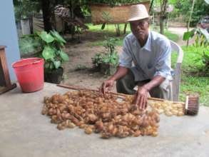 SEPALI farmer with his cocoons