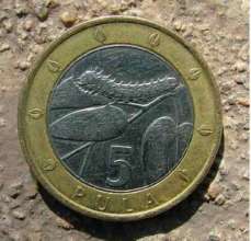Botswana coin featuring edible caterpillar