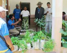 Vegetable garden training