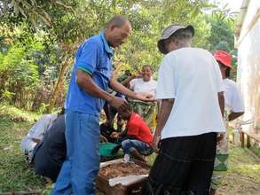 Beetle rearing training