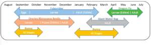 Year round insect rearing data