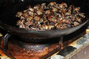 Exotic cuisine of Madagascar - Sakondry