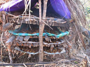 Protecting pupae until adult emergence