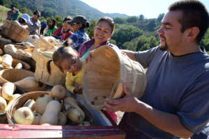 Freshly harvested squash!