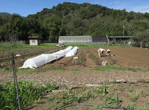 Farm Crew in the Fields
