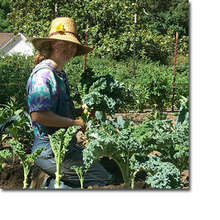 Interns learning to farm in the fields!