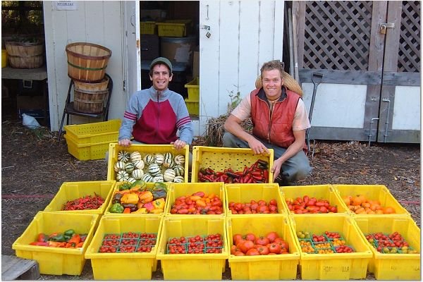Fresh Vegetables