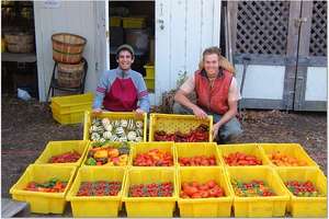 Fresh Vegetables