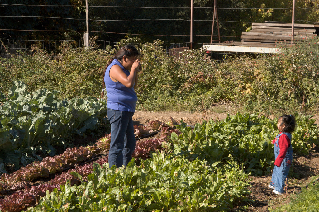 Families See Where Their Produce Comes From