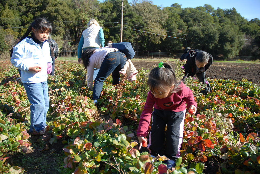 Growing Healthy Families