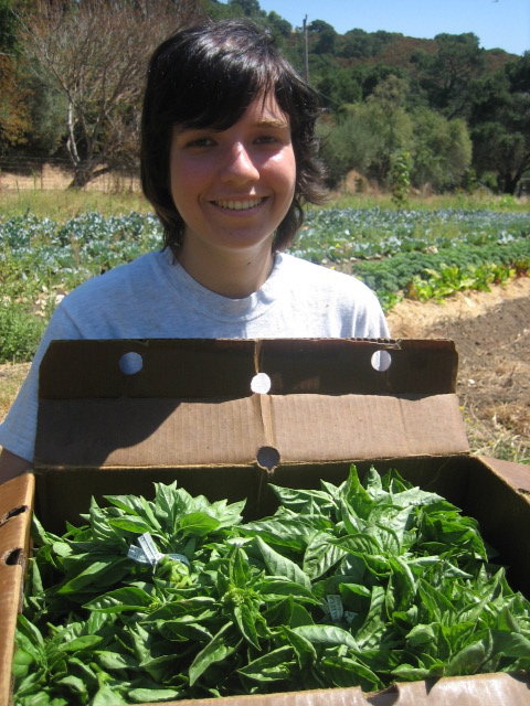 Growing Healthy Families
