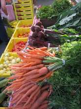 Fresh Veggies