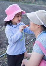 Families and Healthy Food
