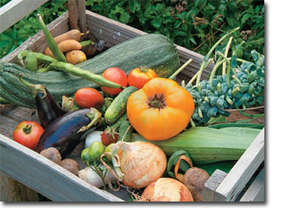 Fresh Veggies!
