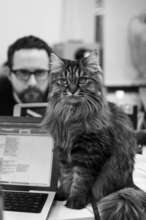 Kittychan, Safecast offices, Shibuya